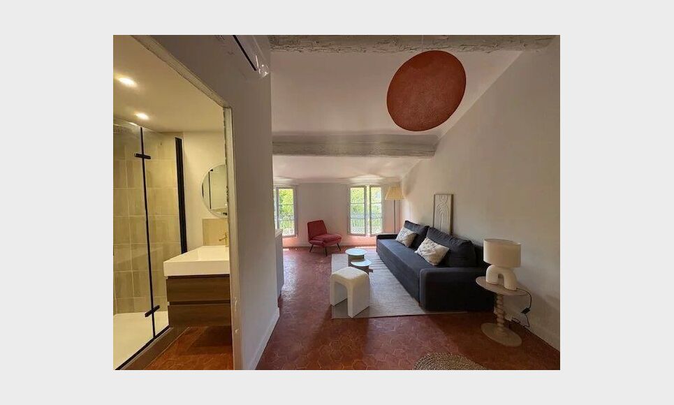 Centre ville - Type 2 climatis&eacute; au calme : Photo 5